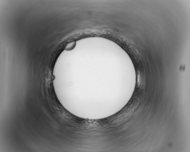 X0000103481492200810031530