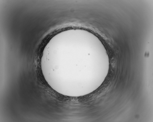 X0000103481495200810031530