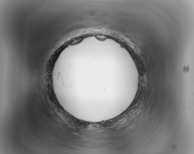 X0000103481496200810031530