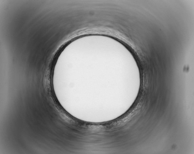 X0000103481498200810031530