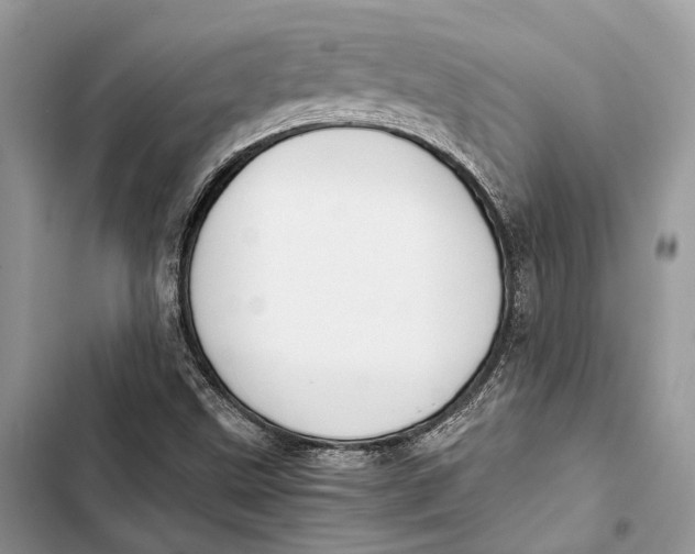 X0000103481499200810031531