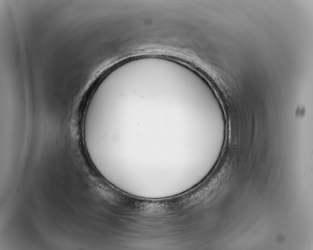 X0000103481501200810031531