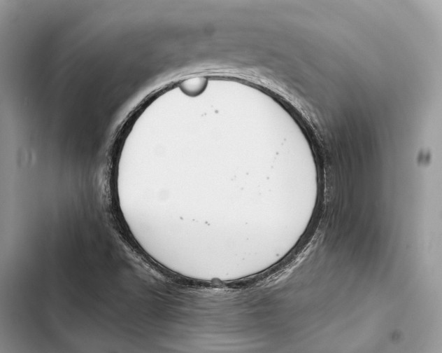 X0000103481502200810031531