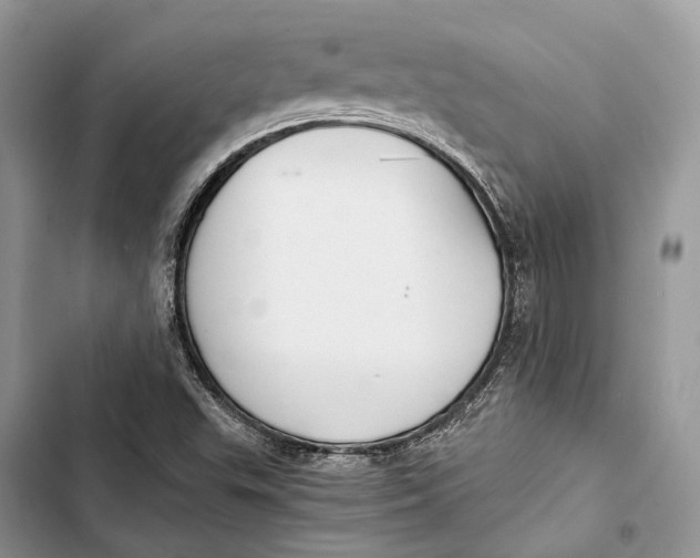 X0000103481503200810031531