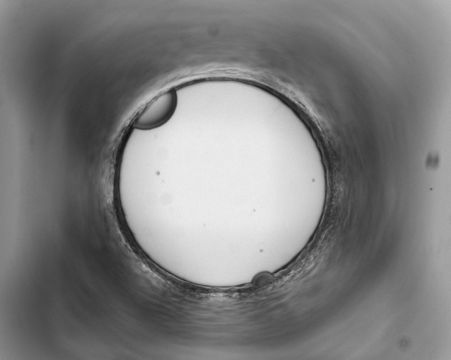 X0000103481504200810031531