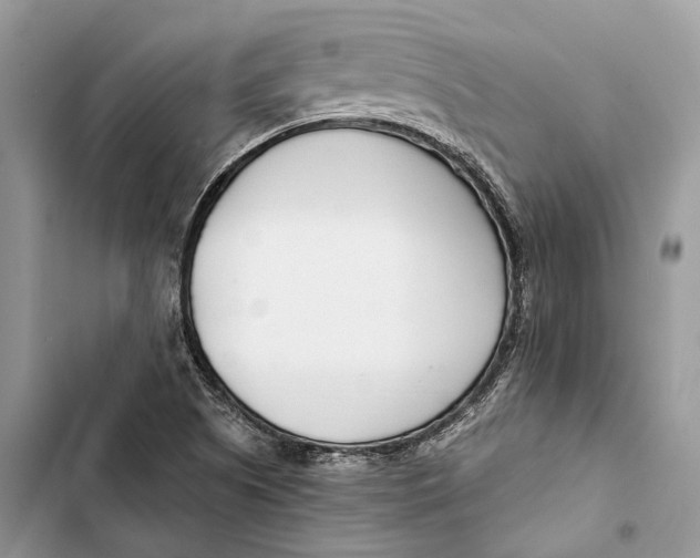 X0000103481505200810031531