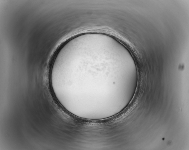 X0000103481506200810031531