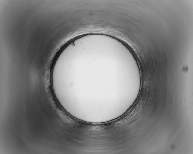 X0000103481507200810031531