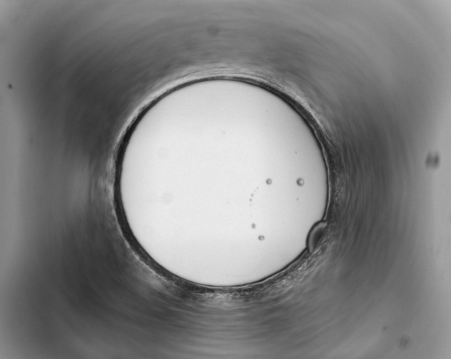 X0000103481508200810031531