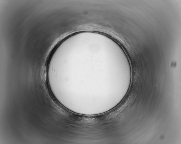 X0000103481509200810031531