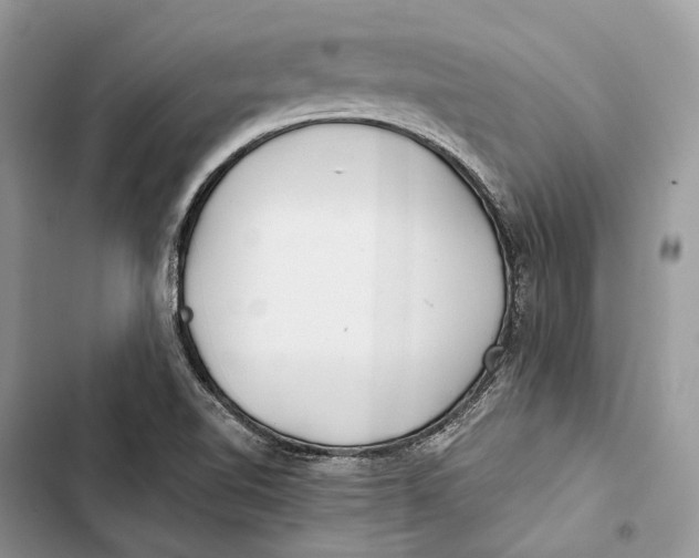 X0000103481510200810031531