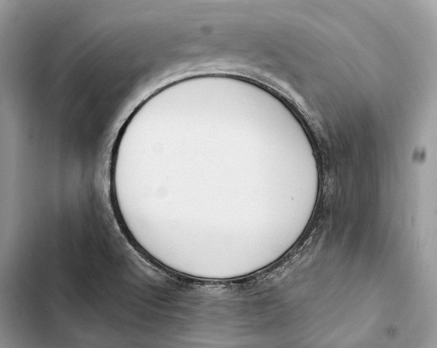 X0000103481512200810031531