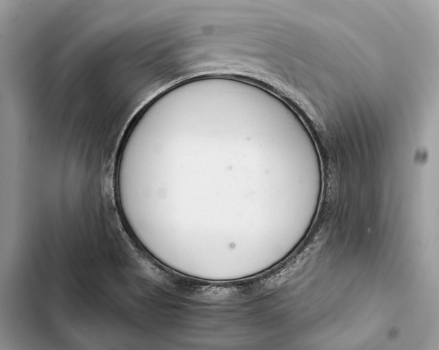 X0000103481513200810031531