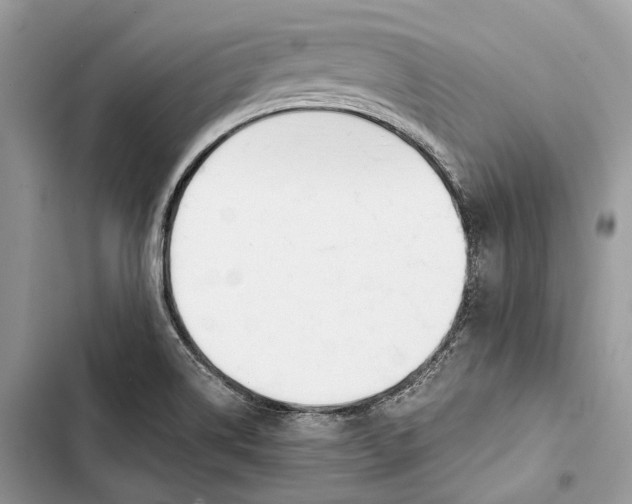 X0000103481514200810031531