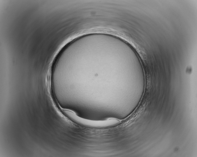 X0000103481515200810031531