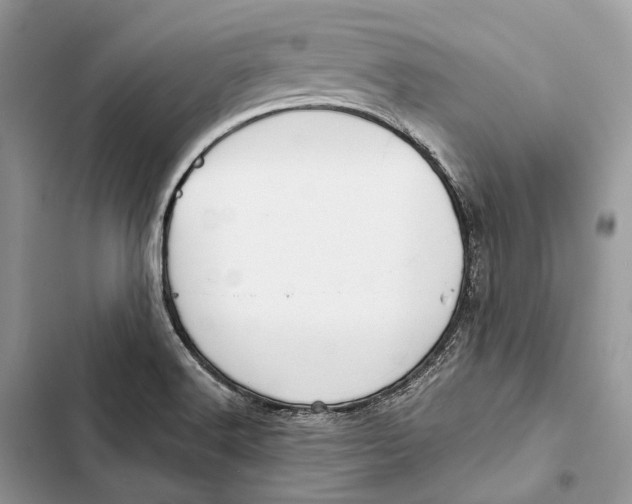 X0000103481516200810031531