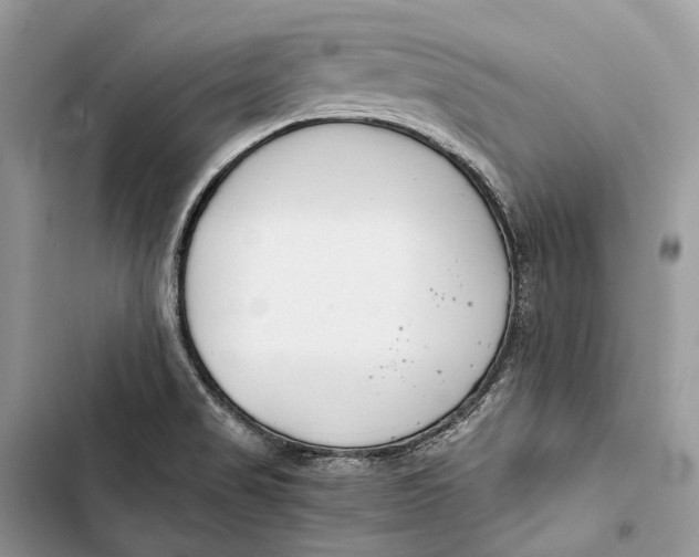 X0000103481517200810031531