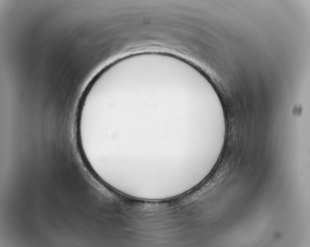 X0000103481518200810031531