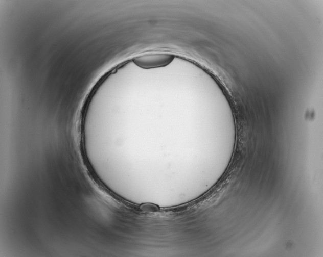 X0000103481519200810031531