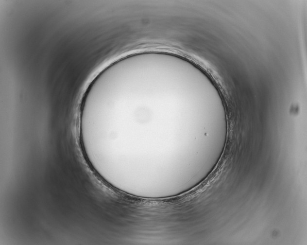 X0000103481520200810031531