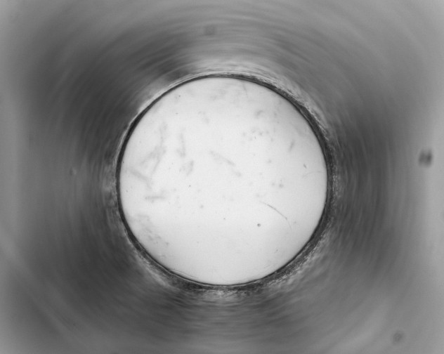 X0000103481521200810031531