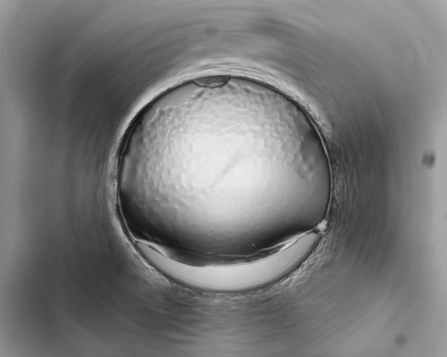 X0000103481522200810031531