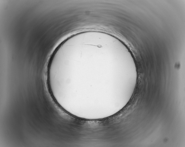 X0000103481523200810031531