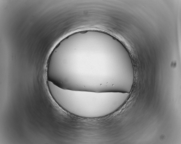 X0000103481524200810031531