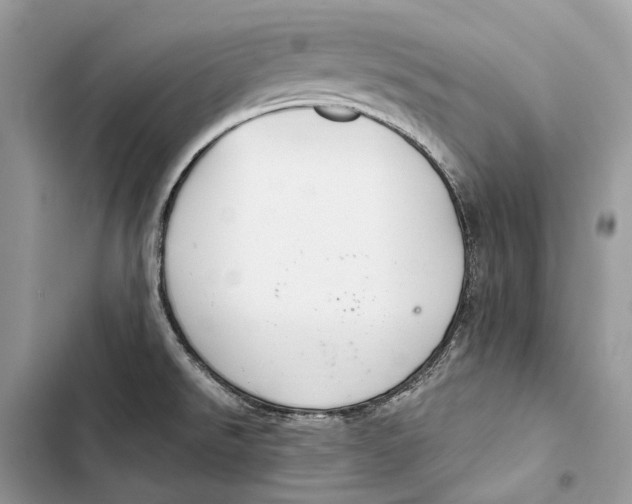 X0000103481526200810031531