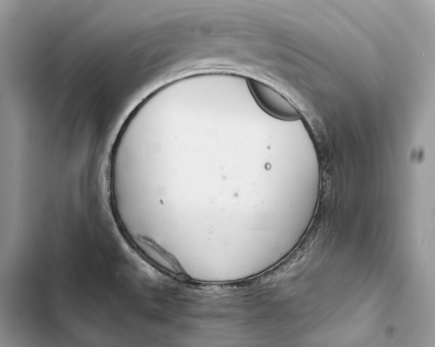 X0000103481527200810031531