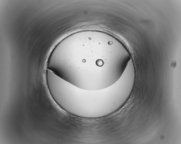 X0000103481528200810031531