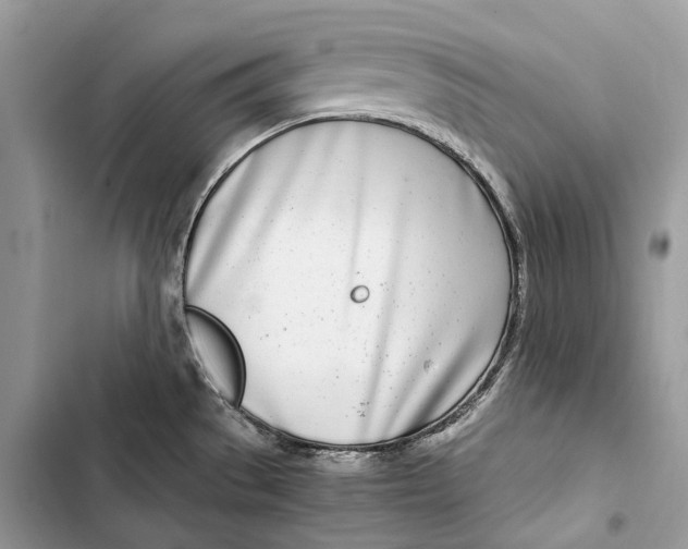 X0000103481529200810031531