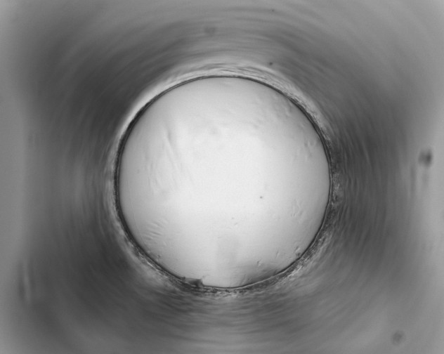 X0000103481530200810031531