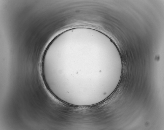 X0000103481531200810031531