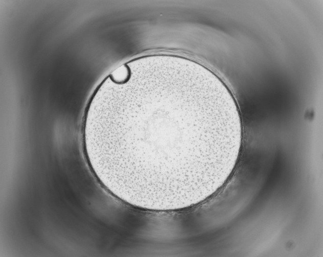 X0000103481533200810031531