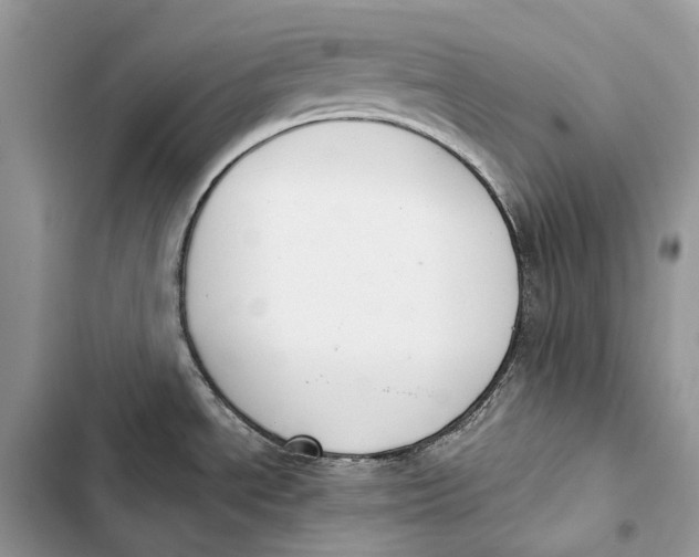 X0000103481534200810031531