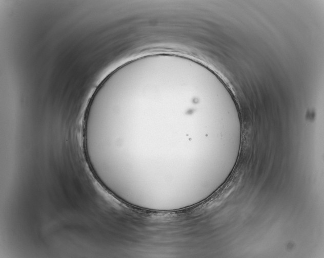 X0000103481535200810031531