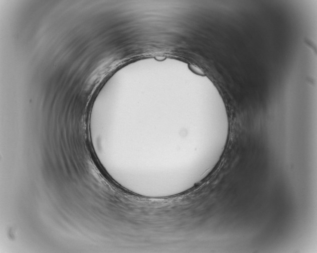 X0000103480002200810101010
