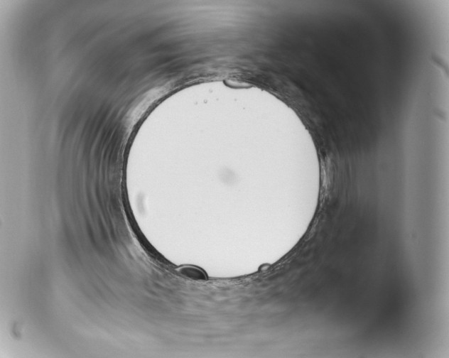 X0000103480003200810101010