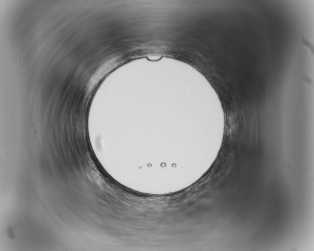 X0000103480004200810101010