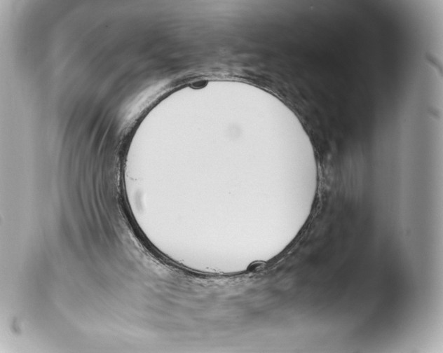 X0000103480005200810101010