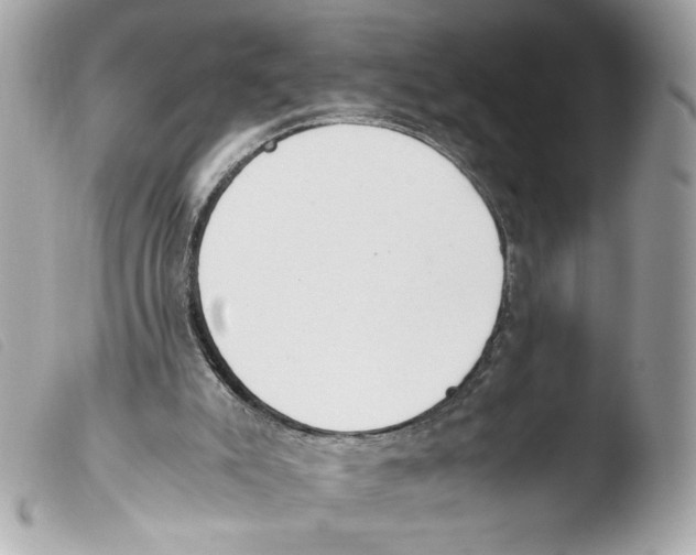 X0000103480007200810101010