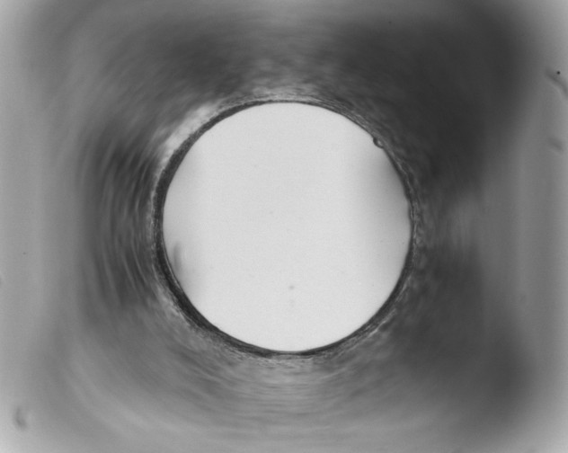 X0000103480008200810101010