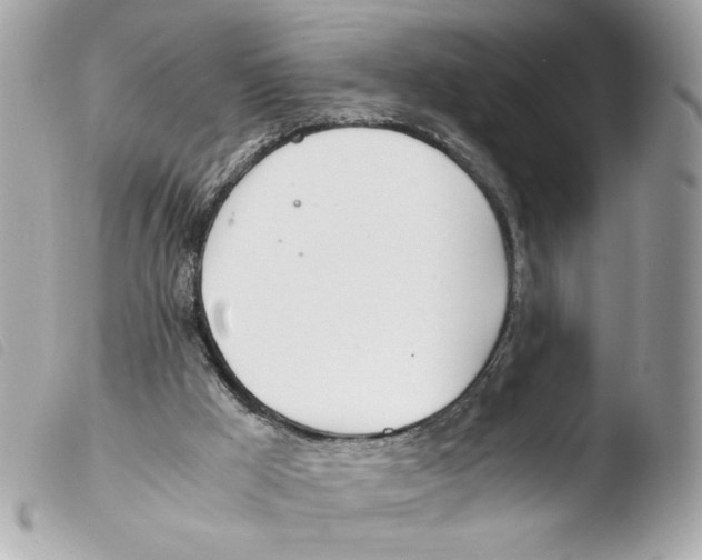 X0000103480009200810101010