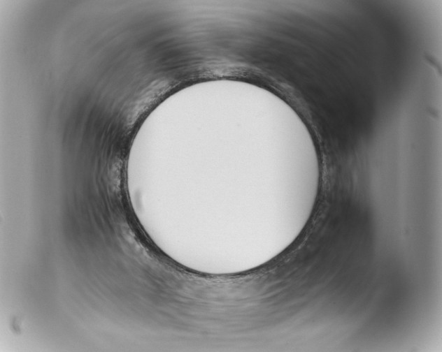 X0000103480010200810101010