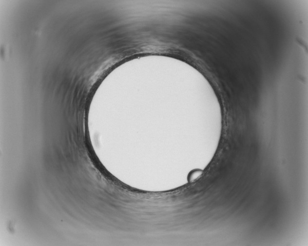 X0000103480011200810101010