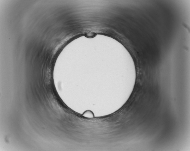 X0000103480012200810101010