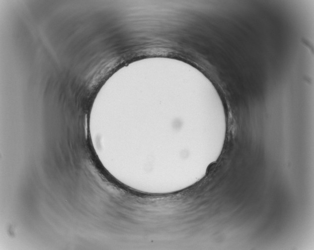 X0000103480013200810101010