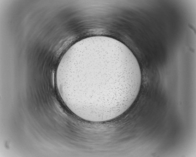 X0000103480014200810101010