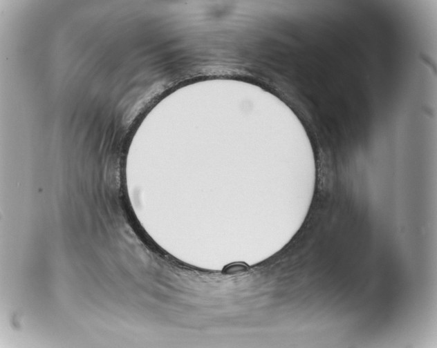 X0000103480015200810101010